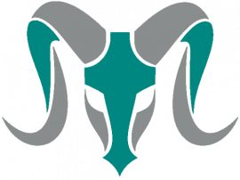 Ram Electronics